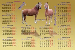 Gold Kalender Ponyhof Kaata