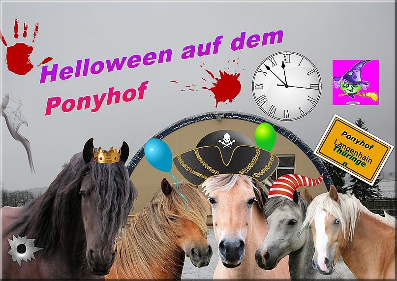 Die Pferdepension & Ponyhof Kaata in Langenhain/Thür. Die Pferdepension & Ponyhof Kaata in Langenhain/Thür.