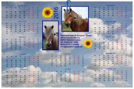 Ponyhof Kalender 2016